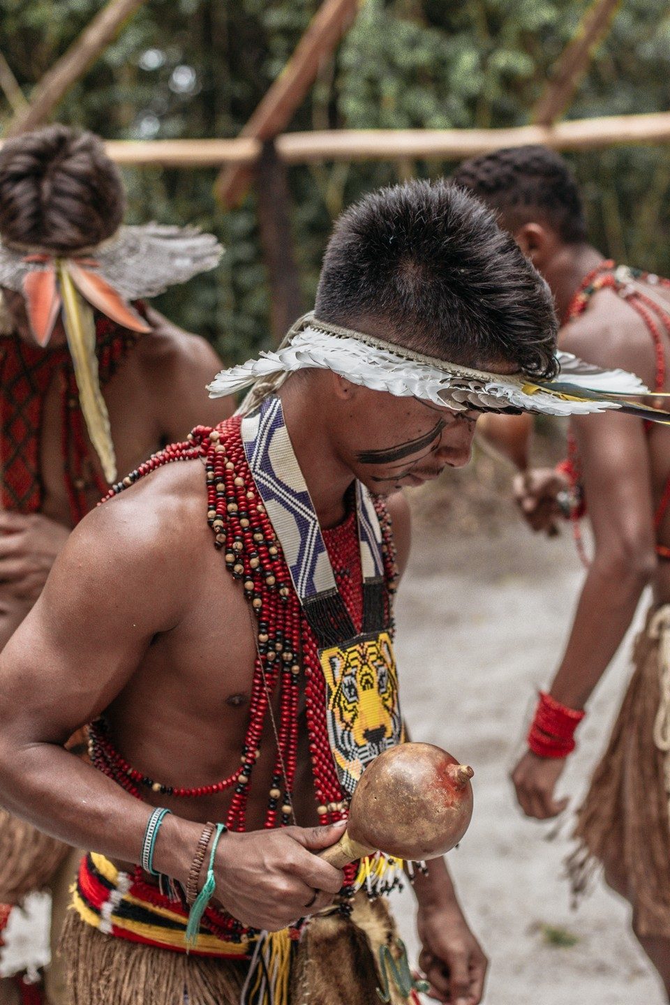 Indígena pataxó em ritual com cocar e maracá durante visita ao Porto do Boi