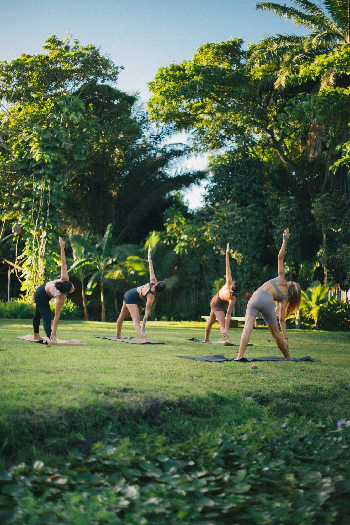 Aula de yoga em sala de madeira com luz natural